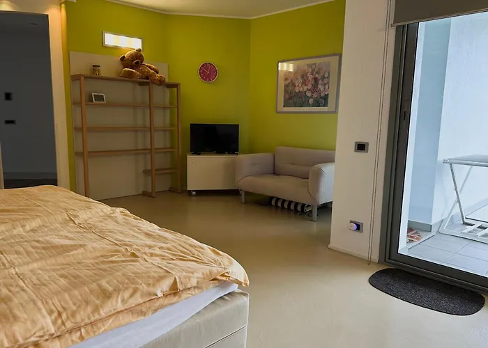 Panoramica Cardana *