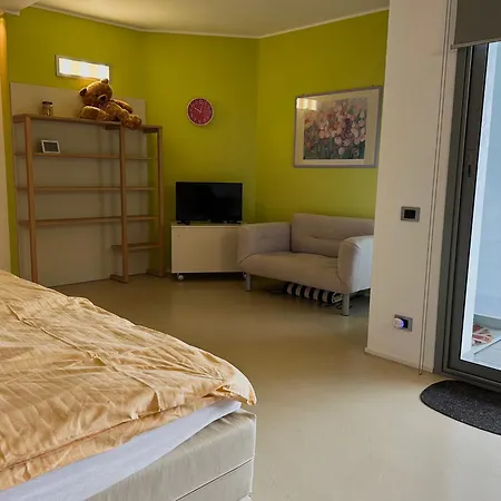 Panoramica Cardana *